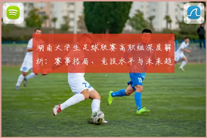湖南大学生足球联赛高职组深度解析:赛事格局、竞技水平与未来趋势